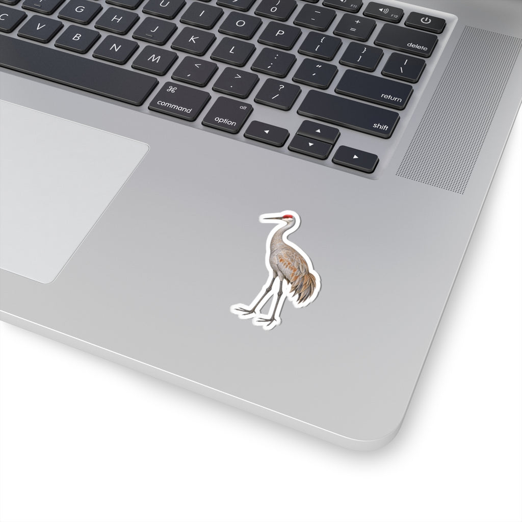 Sandhill Crane Kiss-Cut Sticker — Realistic Decal