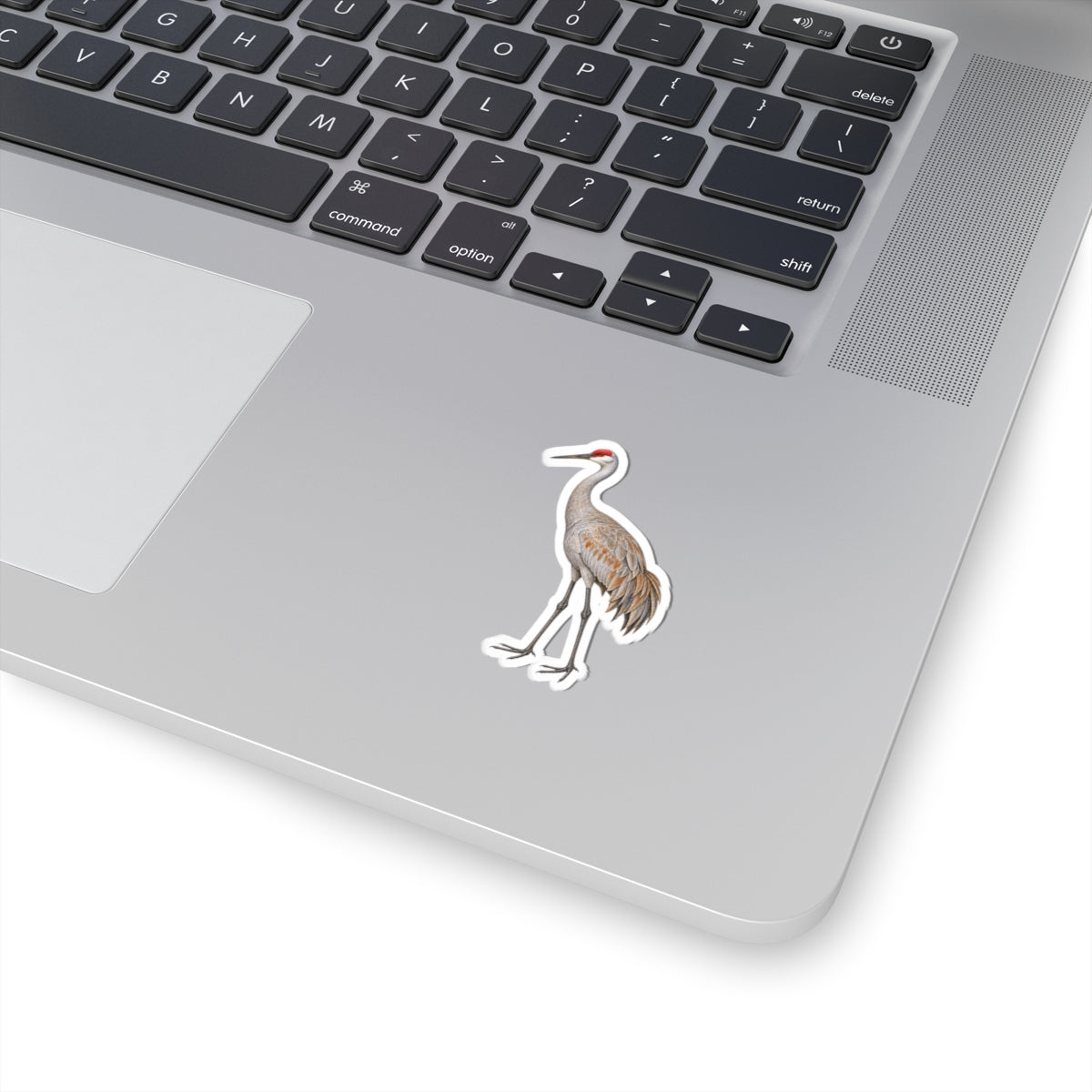 Sandhill Crane Kiss-Cut Sticker — Realistic Decal