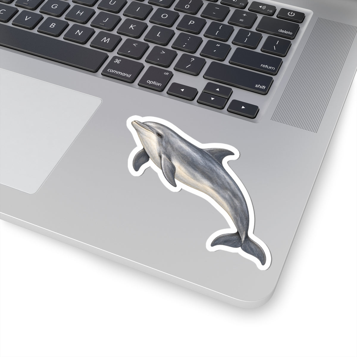 Dolphin Kiss-Cut Sticker — Realistic Decal