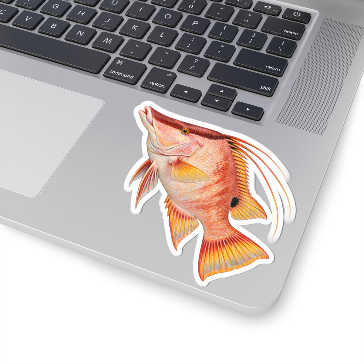 Red Hog Fish Sticker — Tropical Reef Decal