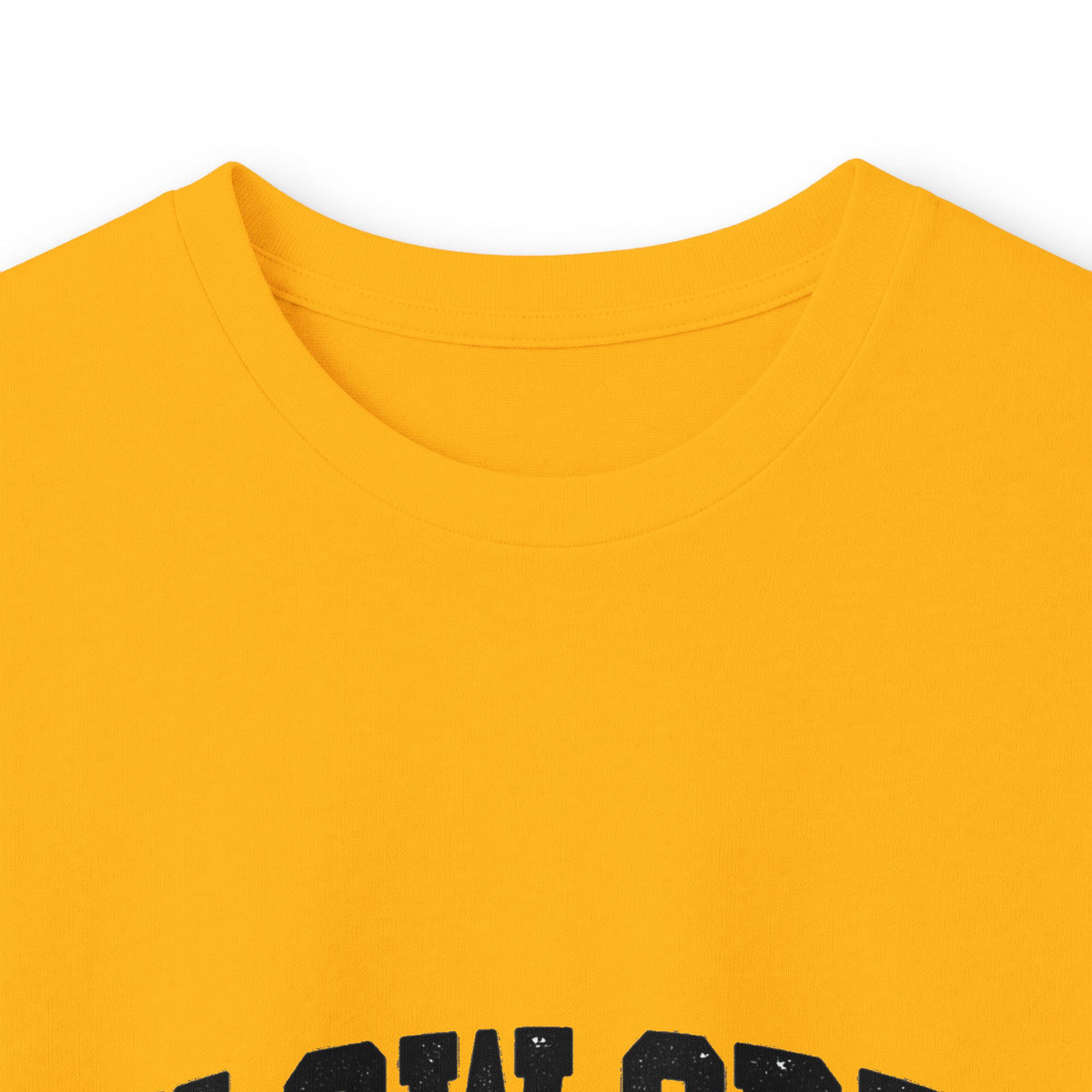 Bulow Creek State Park Vintage -Destination Logo