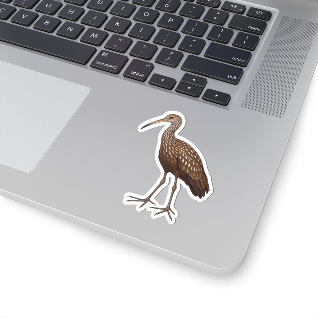 Limpkin Kiss-Cut Sticker — Realistic Wading Bird Decal