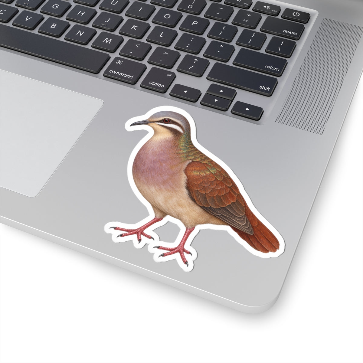 Key West Quail-Dove Kiss-Cut Sticker — Realistic Decal