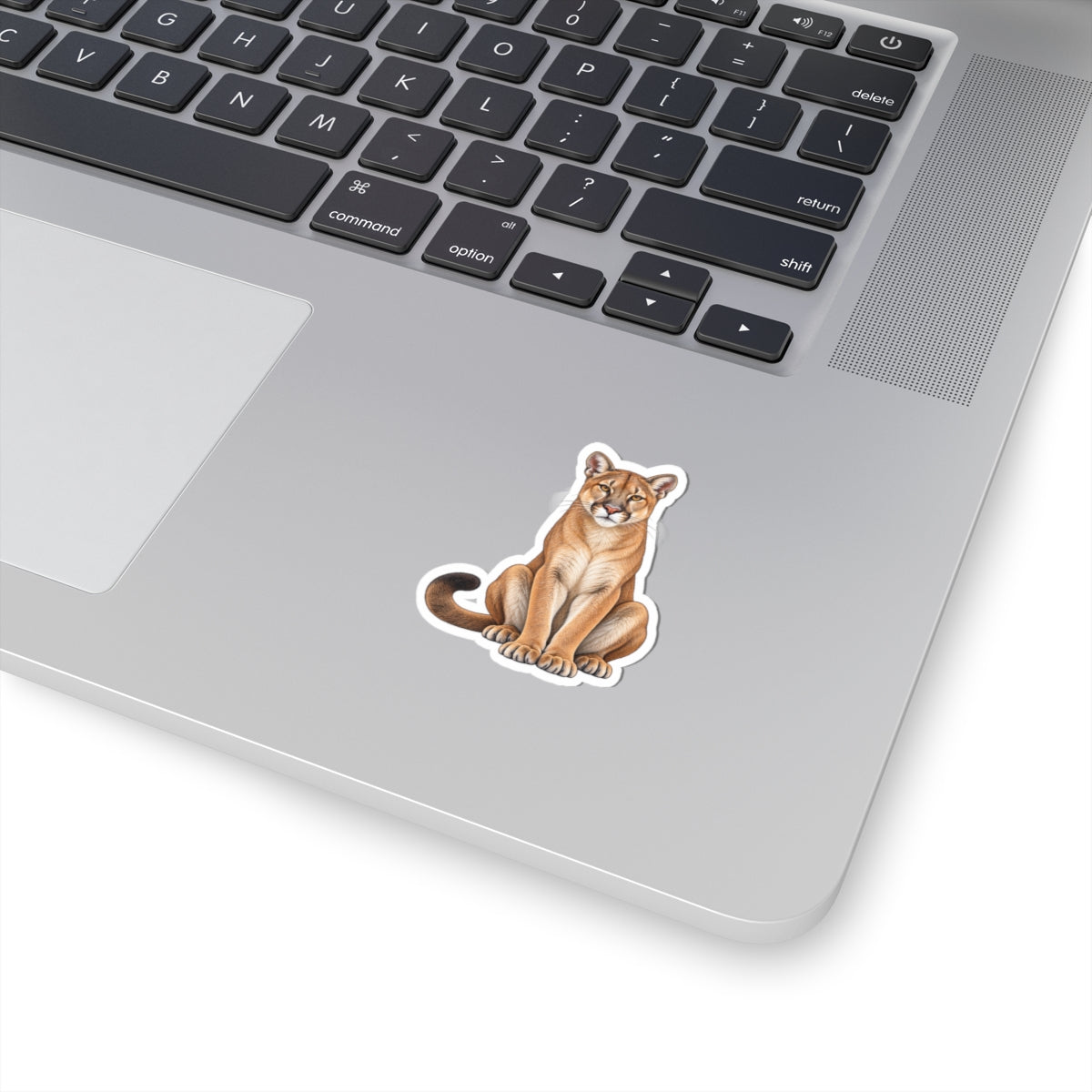 Florida Panther Kiss-Cut Sticker — Realistic Laptop Decal