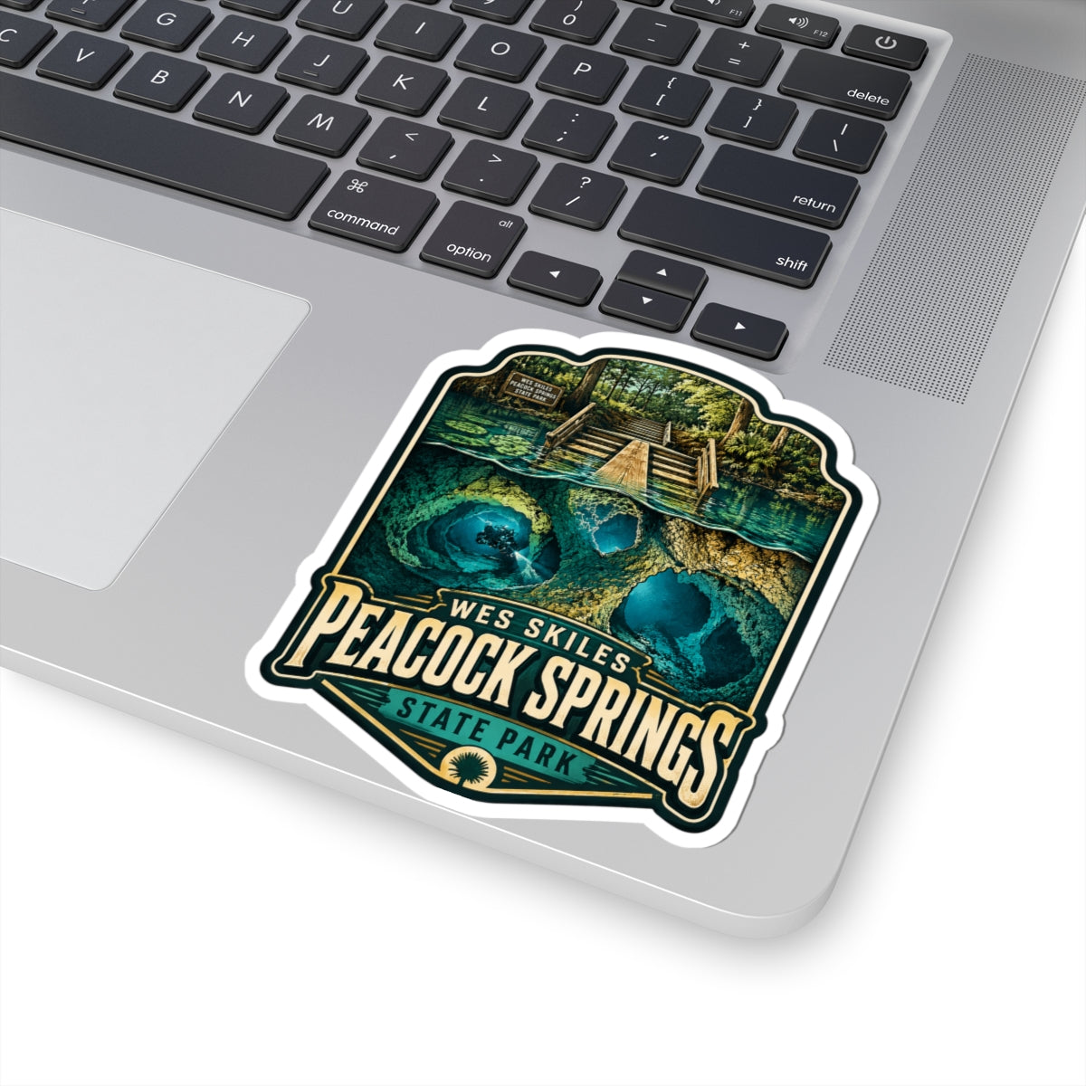 Peacock Springs State Park Sticker — Vintage Blue Spring Nature Decal