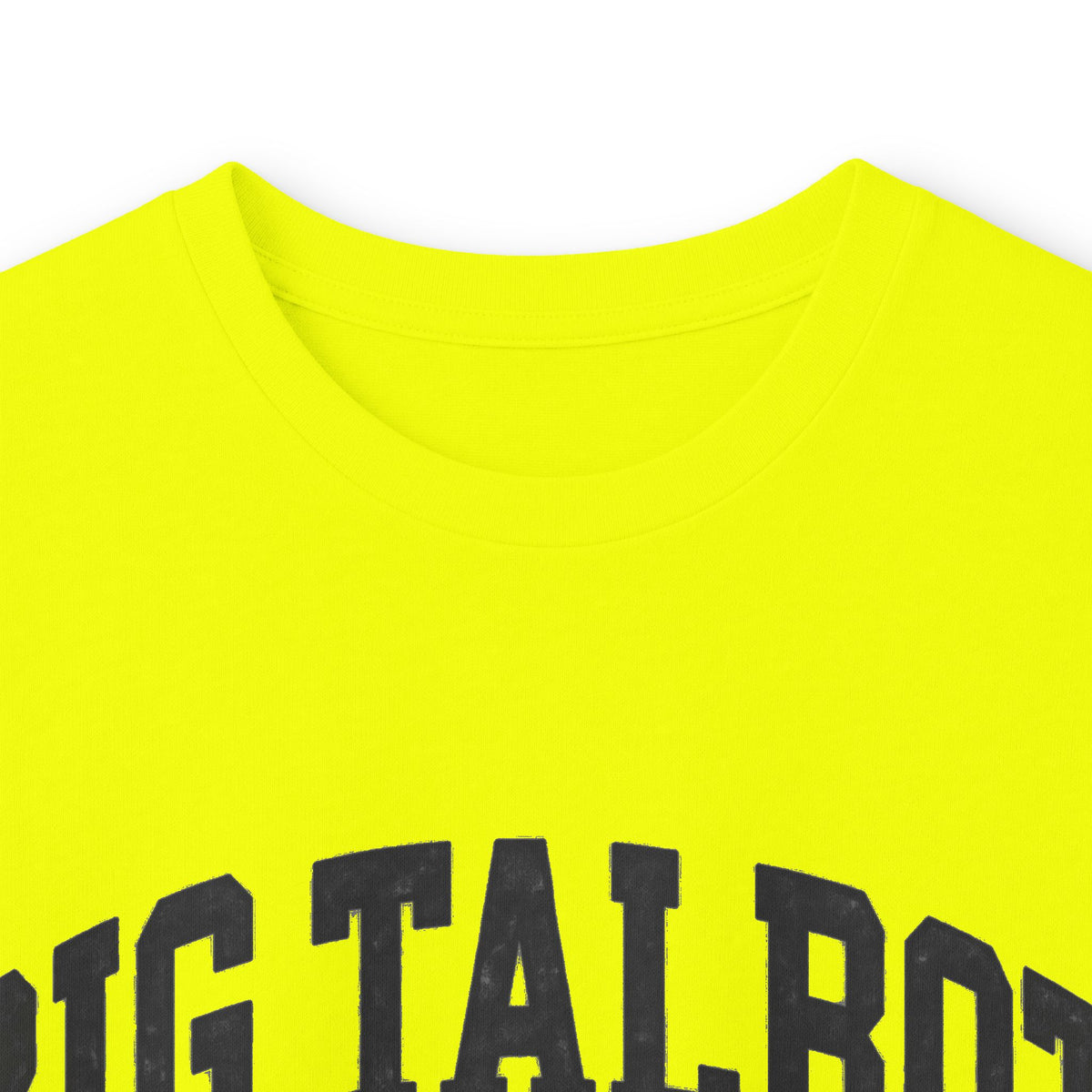 Big Talbot Island State Park - Destination Logo
