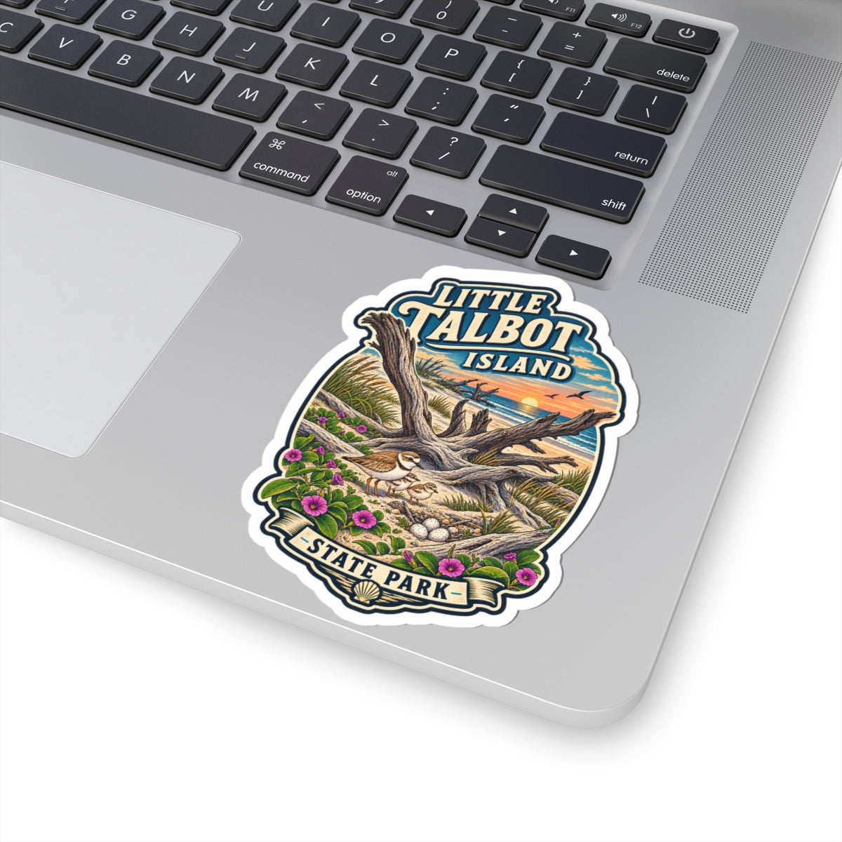 Little Talbot Island State Park Sticker — Coastal Beach Vintage Travel Decal