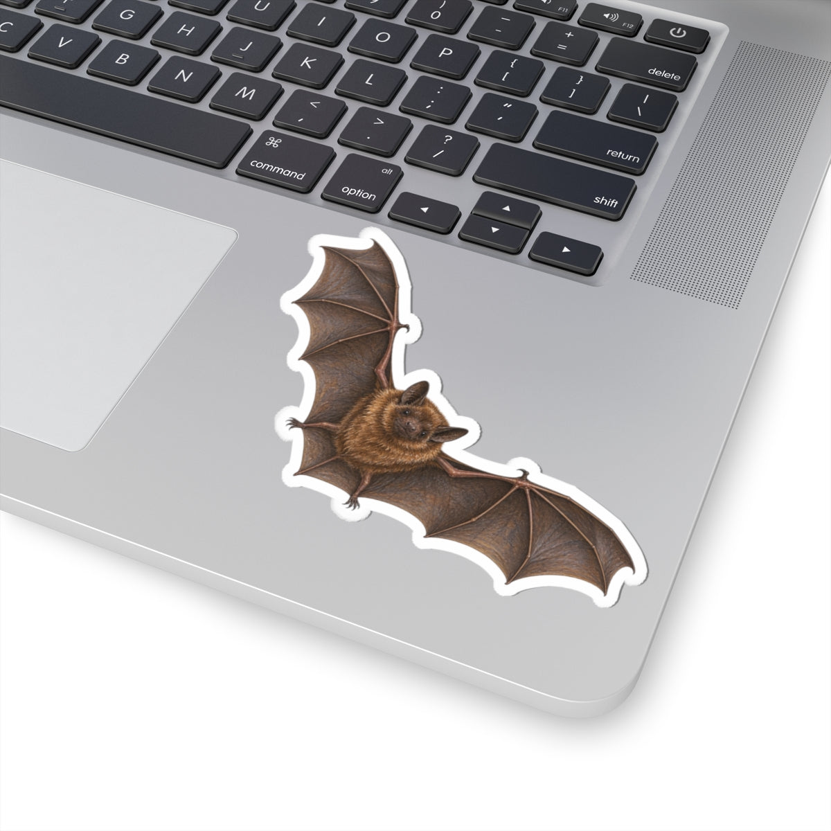 Flying Brown Bat Sticker — Realistic Decal