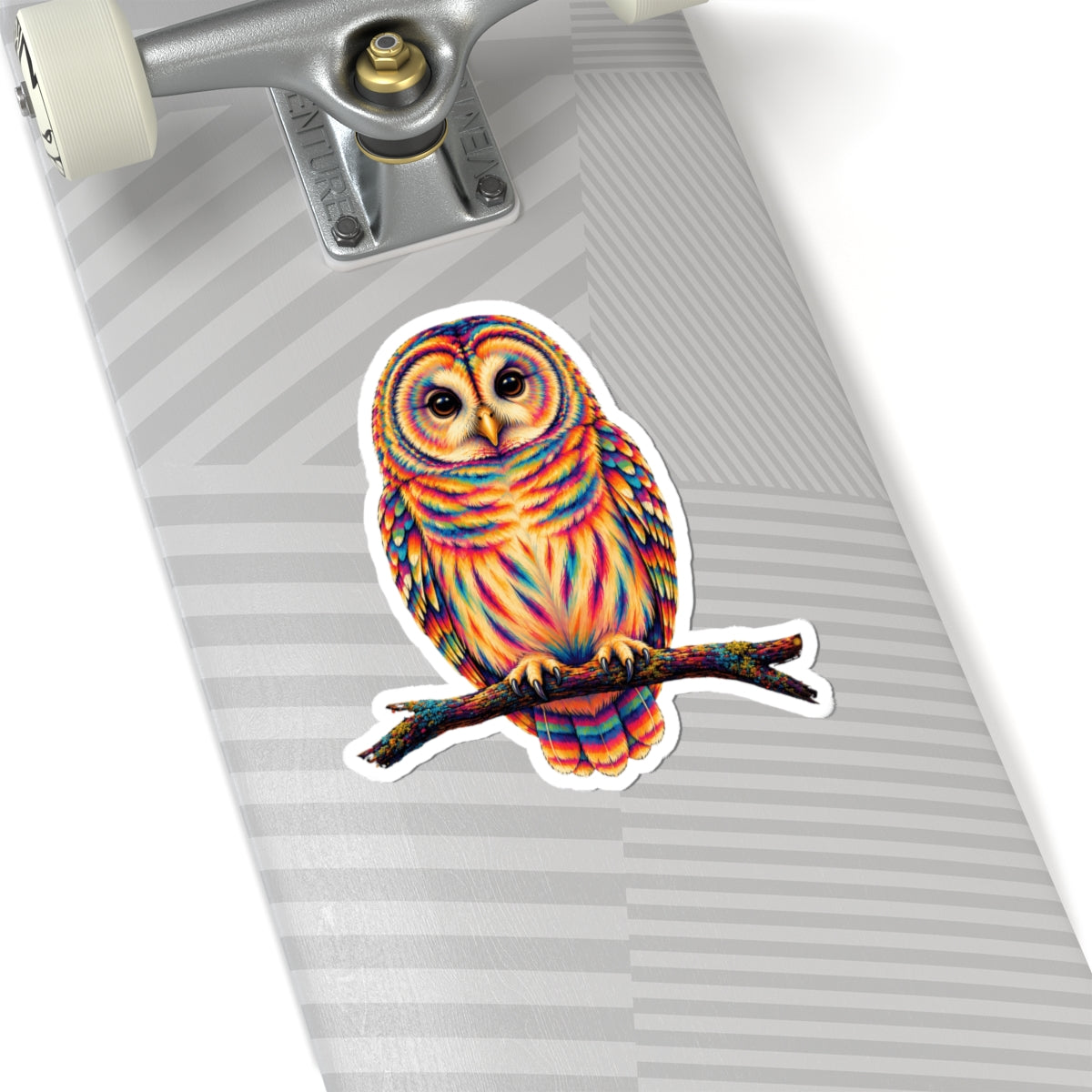 Rainbow Barred Owl