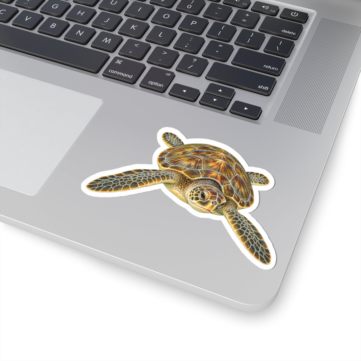 Green Sea Turtle Kiss-Cut Sticker — Realistic Ocean Wildlife Decal