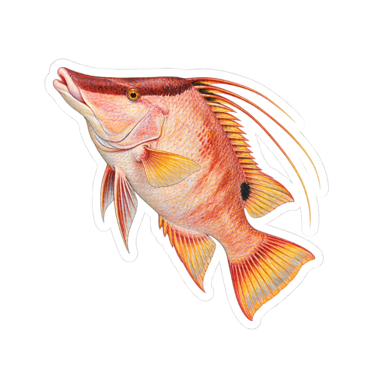 Red Hog Fish Sticker — Tropical Reef Decal