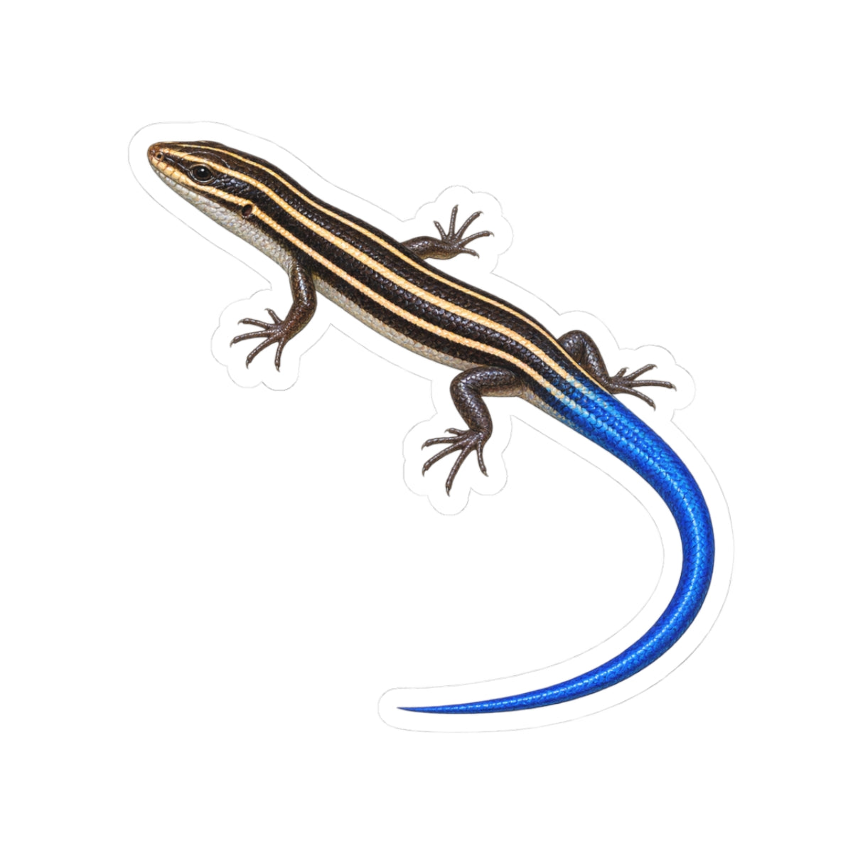 Southeastern Five-Lined Skink Sticker — Realistic Decal