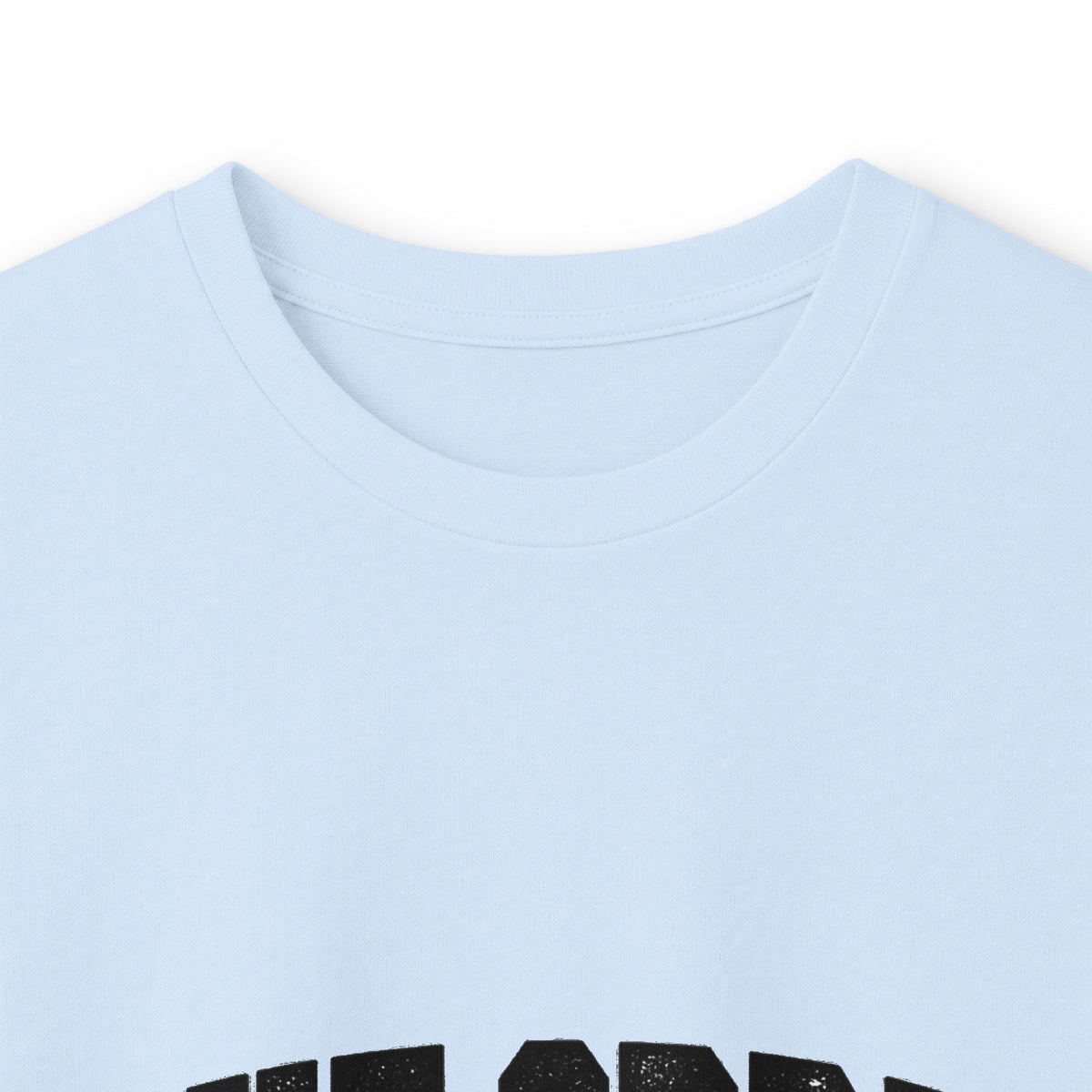 Blue Spring State Park Manatee Design- Destination Logo