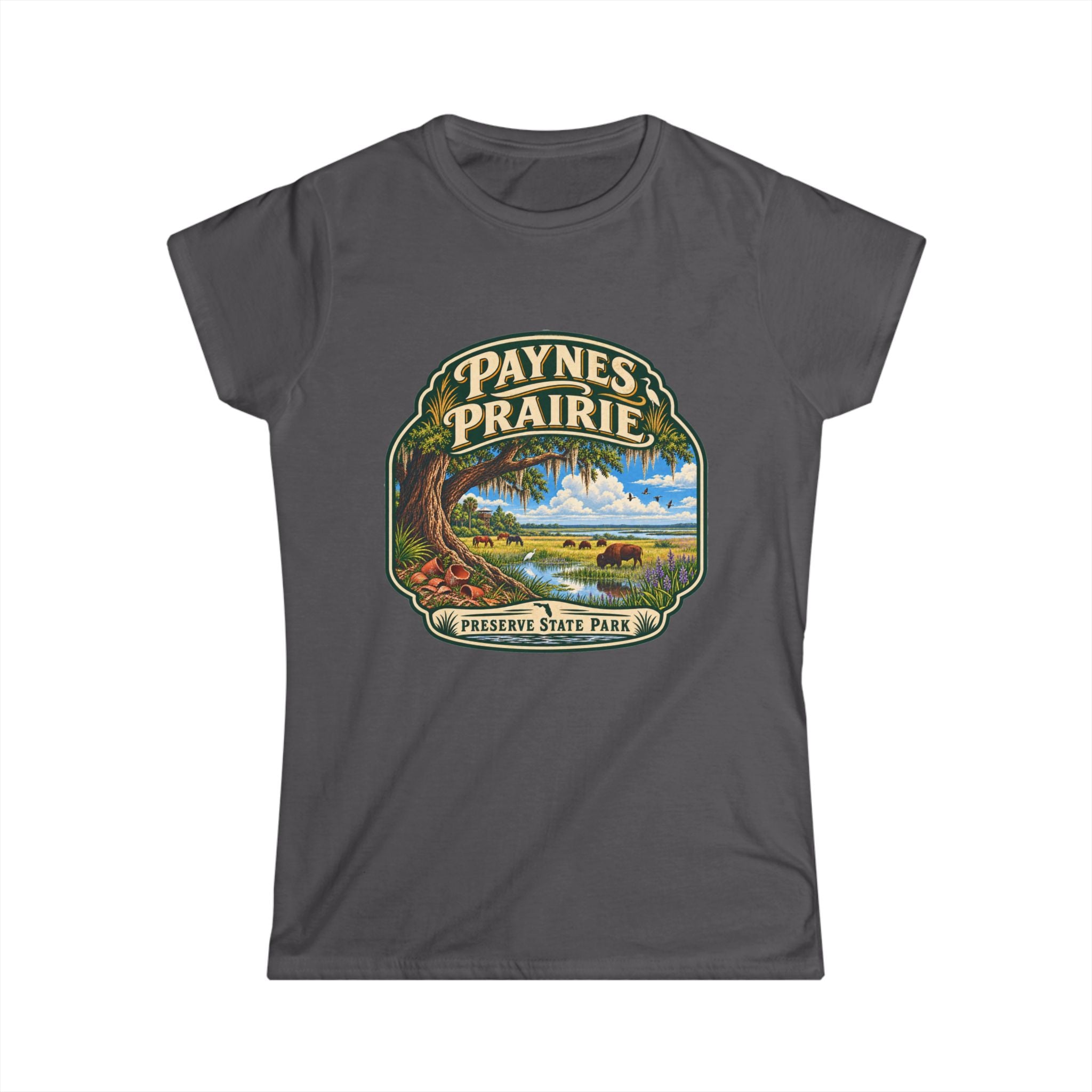 Paynes Prairie- Vintage Tee