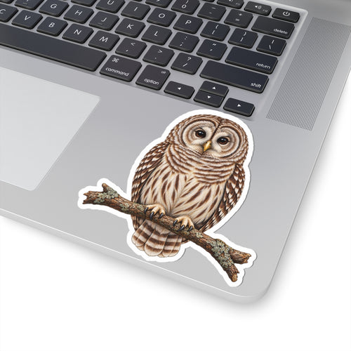 Barred Owl Sticker — Realistic Decal